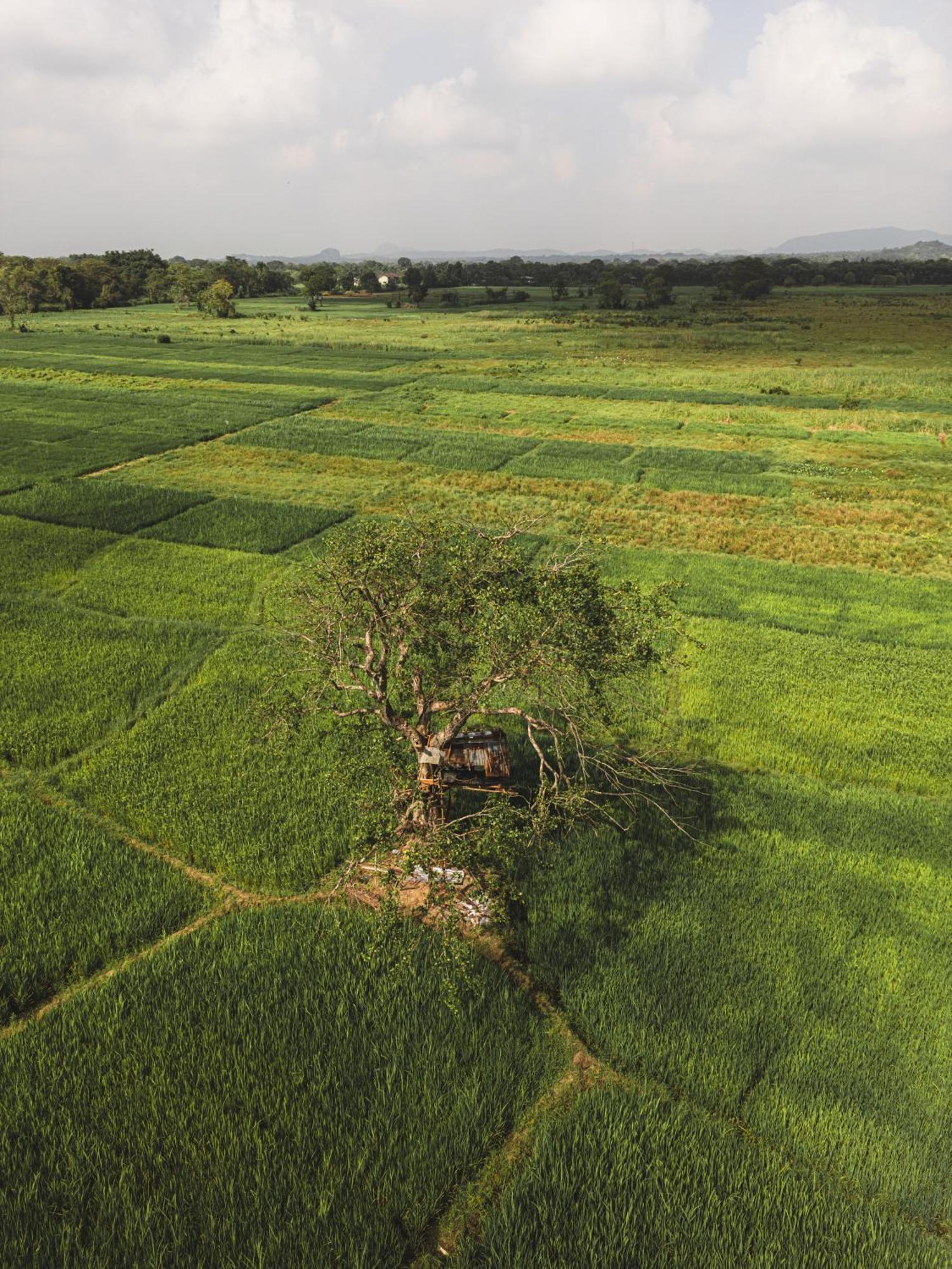 Sundaras Sigiriya Jungles Caves Resort ダンブッラ エクステリア 写真